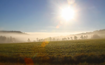 October Fog