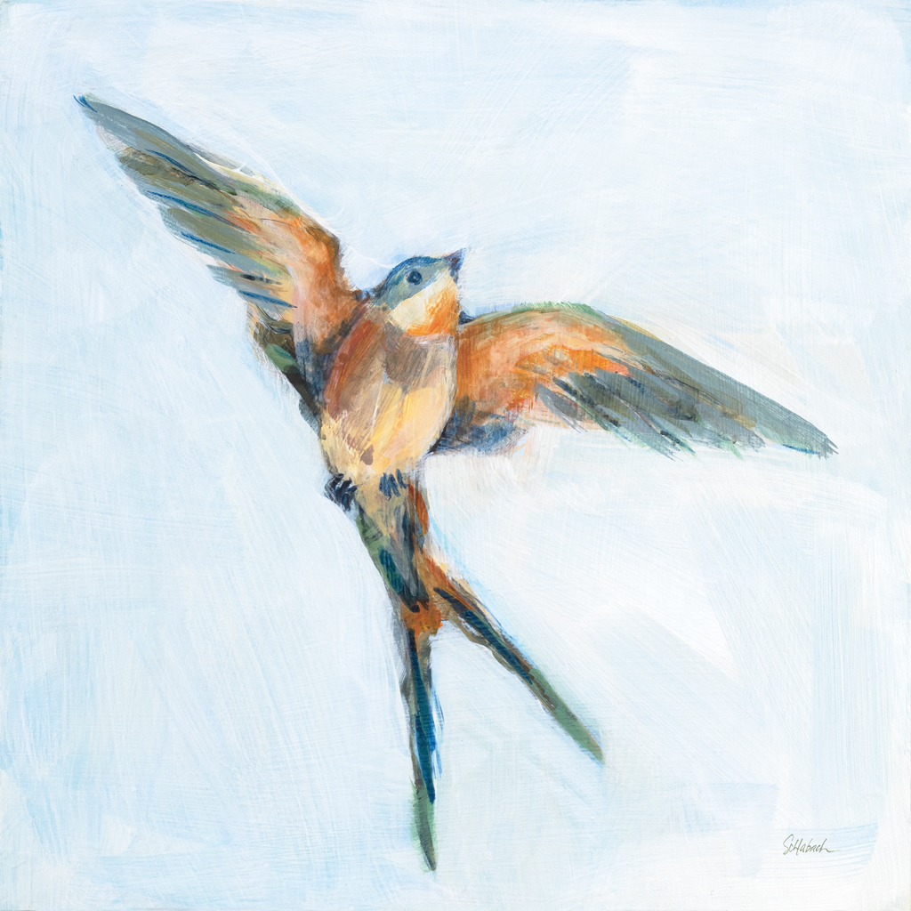 © Sue Schlabach Barn Swallow I