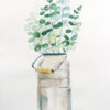 Market Eucalyptus - Image 3