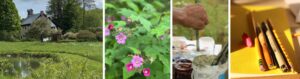 painting and writing through the senses workshop